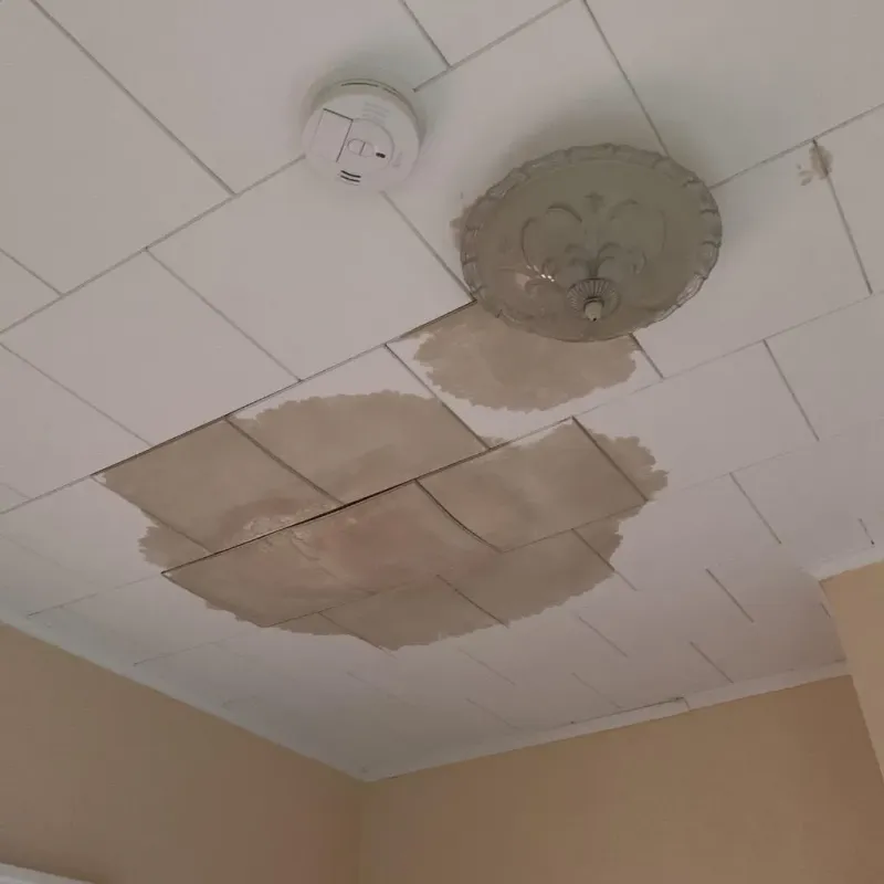 Ceiling Water Damage Repair in Merrydale, LA