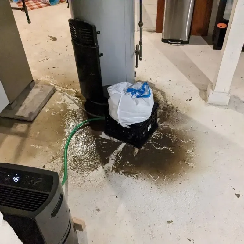 Sewage Backup Cleanup Service in Merrydale, LA